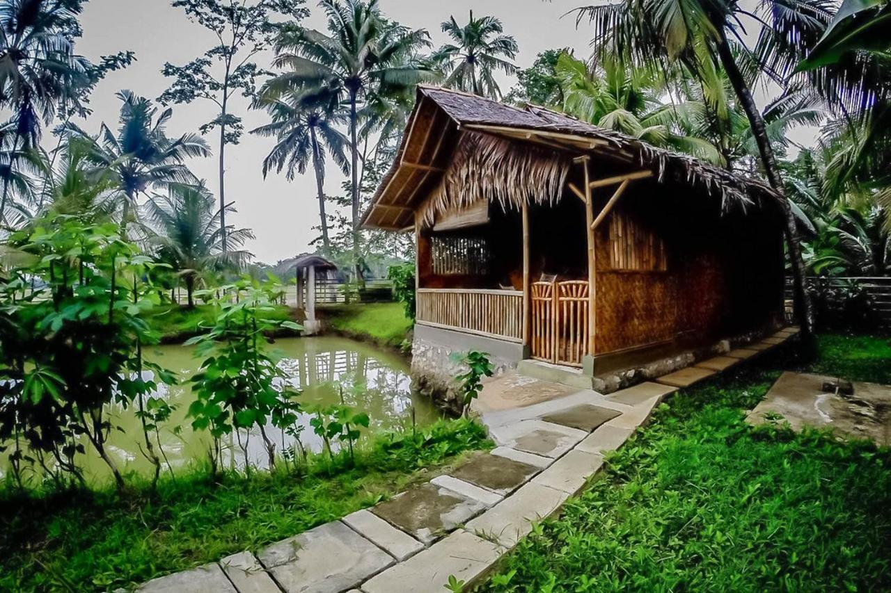 Baleku Bamboo Retreat Hotel Pangandaran Exterior foto